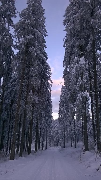 Waldpension Harzer Waldwinkel Bad Grund Exterior foto