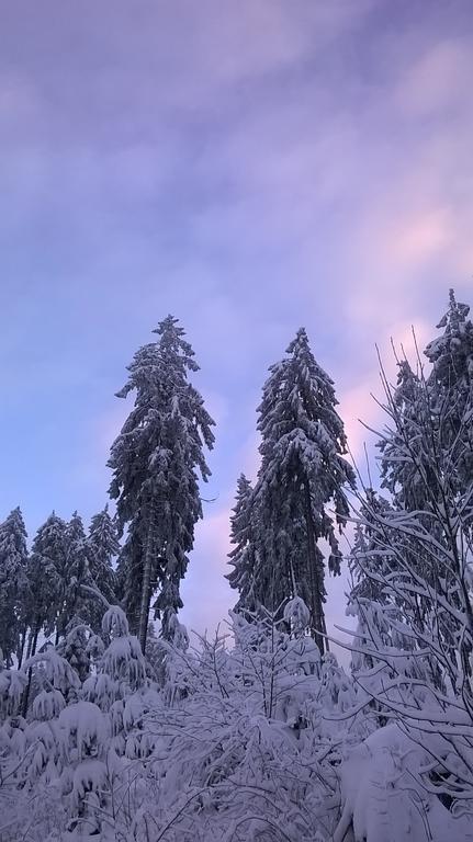 Waldpension Harzer Waldwinkel Bad Grund Exterior foto