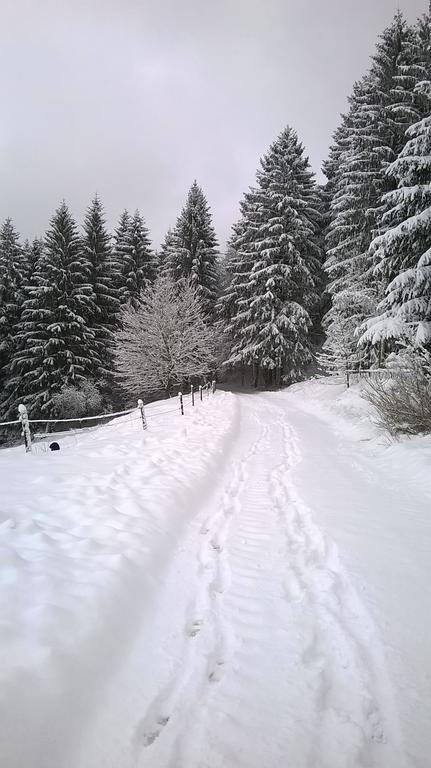 Waldpension Harzer Waldwinkel Bad Grund Exterior foto