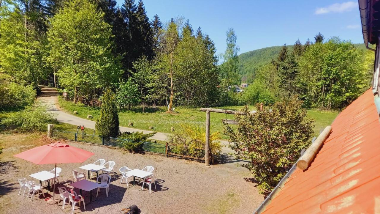 Waldpension Harzer Waldwinkel Bad Grund Exterior foto