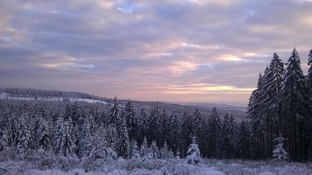 Waldpension Harzer Waldwinkel Bad Grund Exterior foto